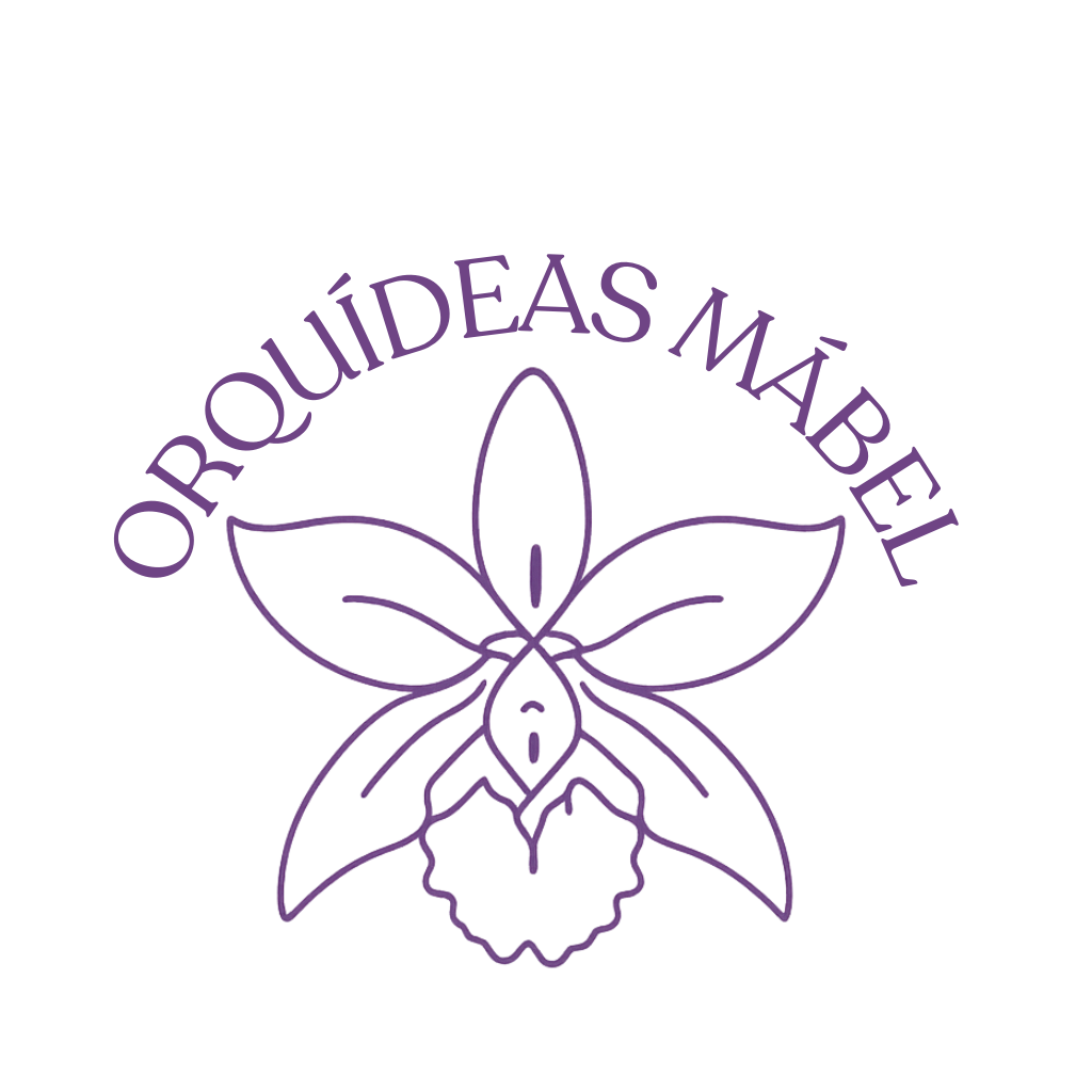 orquideasmabel.com.mx